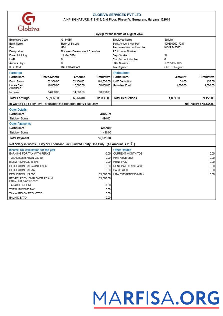 Realistic Globiva Services payslip sample
